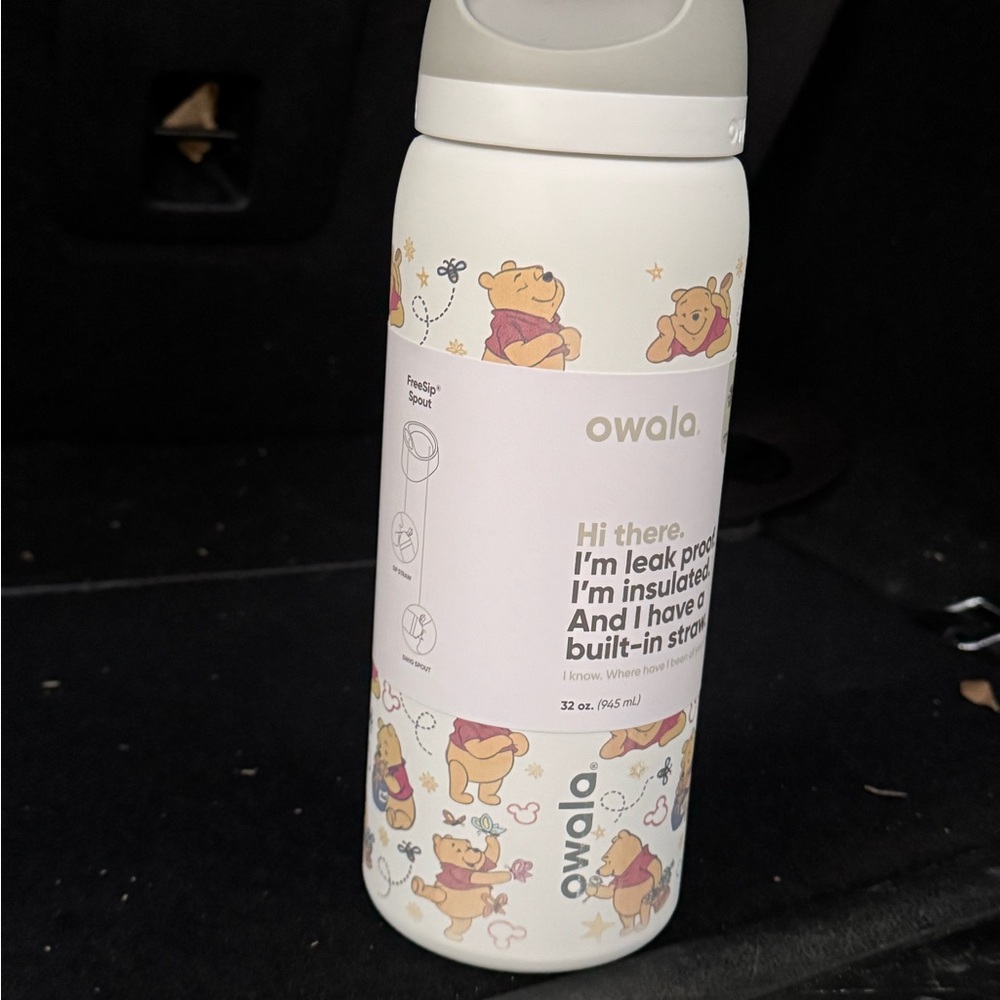 Owala Winnie the Pooh Insulated Water Bottle